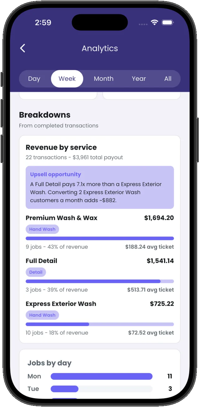 Revive Pro analytics: weekly revenue broken down by service.