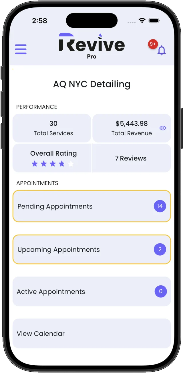 The Revive Pro dashboard: the day's numbers and appointments.